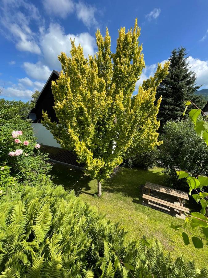 Apartmany Slunce Jeseník Esterno foto